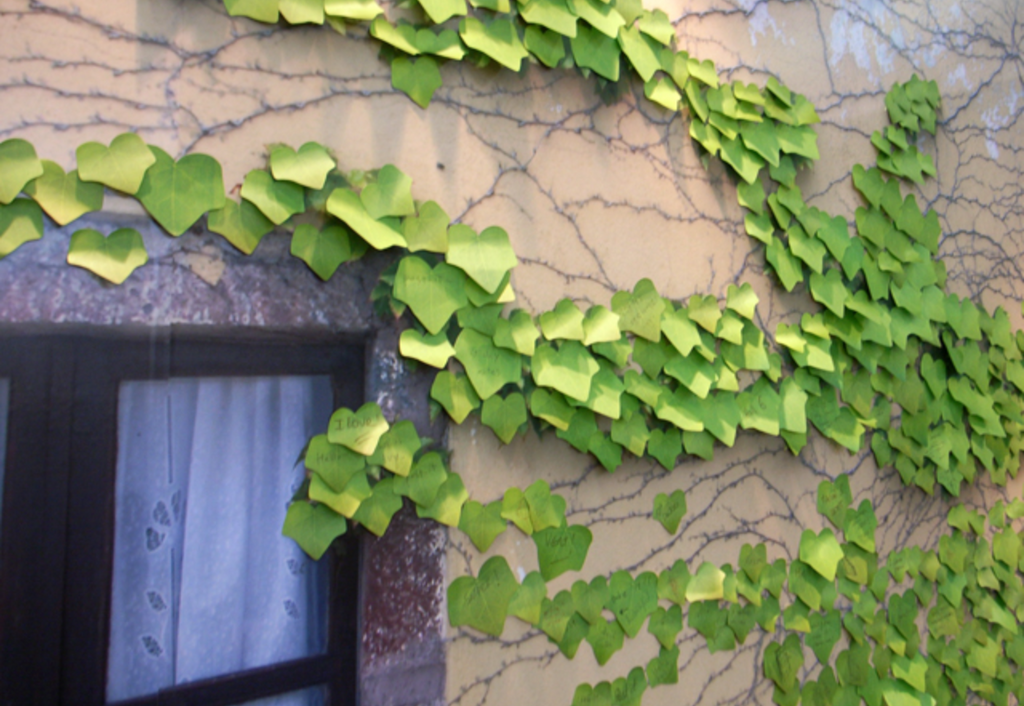 Appree Leaf Sticky Memo Notes - Green Ivy