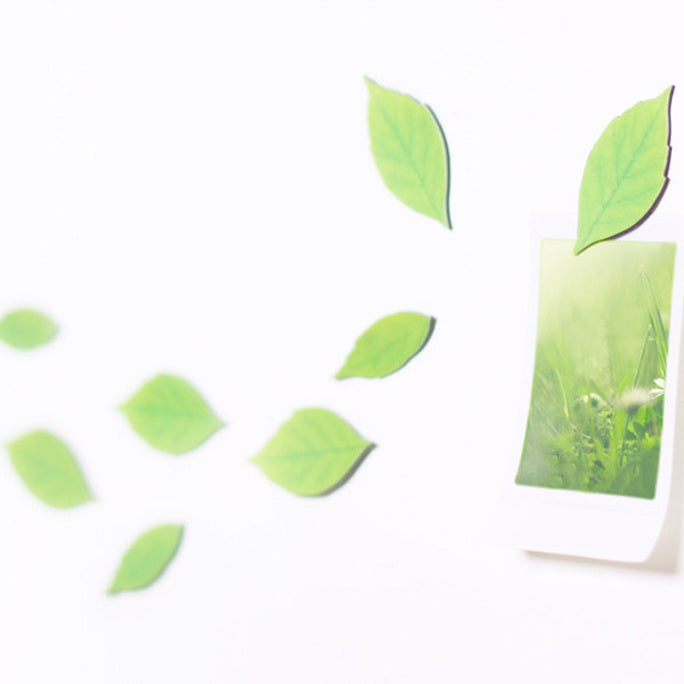 Appree Leaf Magnet Set - Birch