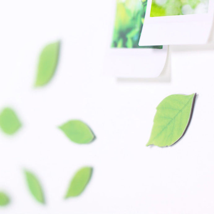 Appree Leaf Magnet Set - Birch