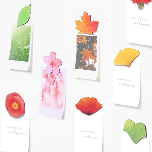 Appree Leaf Magnet Set - Birch