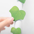 Appree Leaf Magnet Set - Ivy
