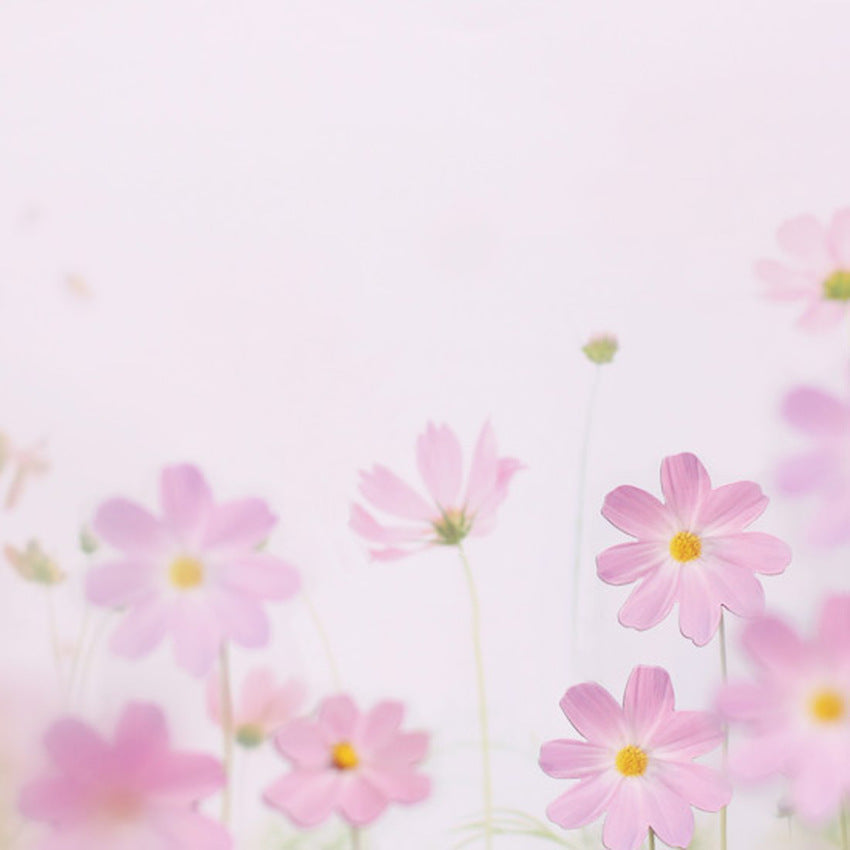 Appree Leaf Magnet Set - Cosmos