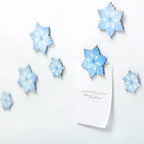 Appree Leaf Magnet Set - Snow Flake