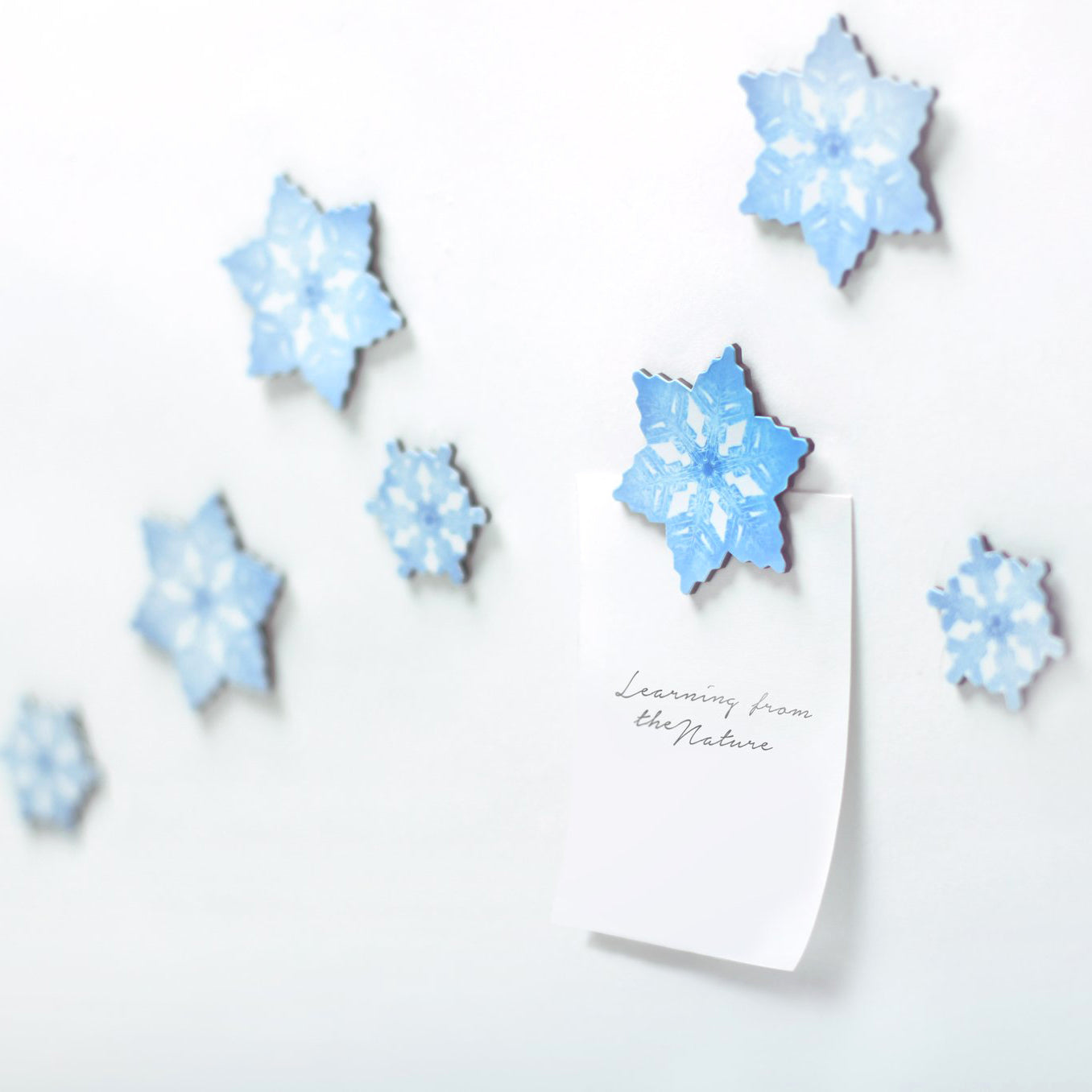 Appree Leaf Magnet Set - Snow Flake