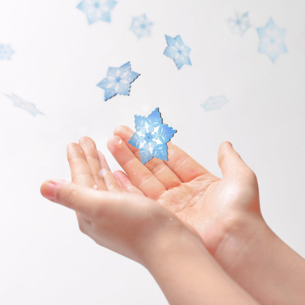 Appree Leaf Magnet Set - Snow Flake