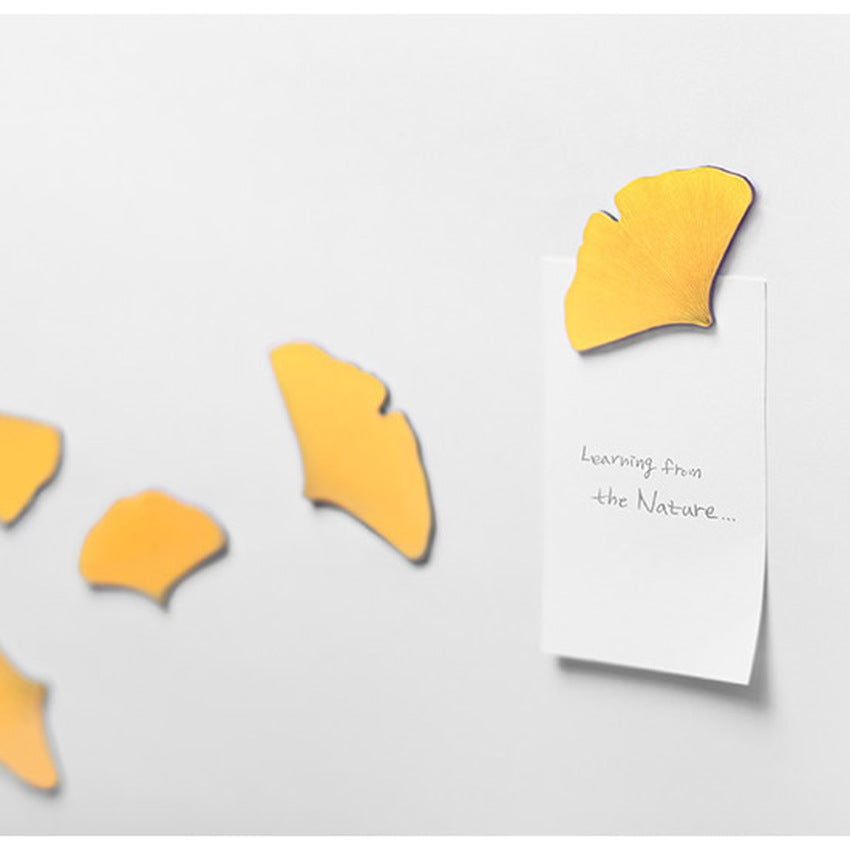 Appree Leaf Magnet Set - Ginkgo