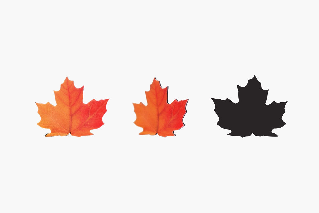 Appree Leaf Magnet Set - Maple
