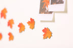 Appree Leaf Magnet Set - Maple