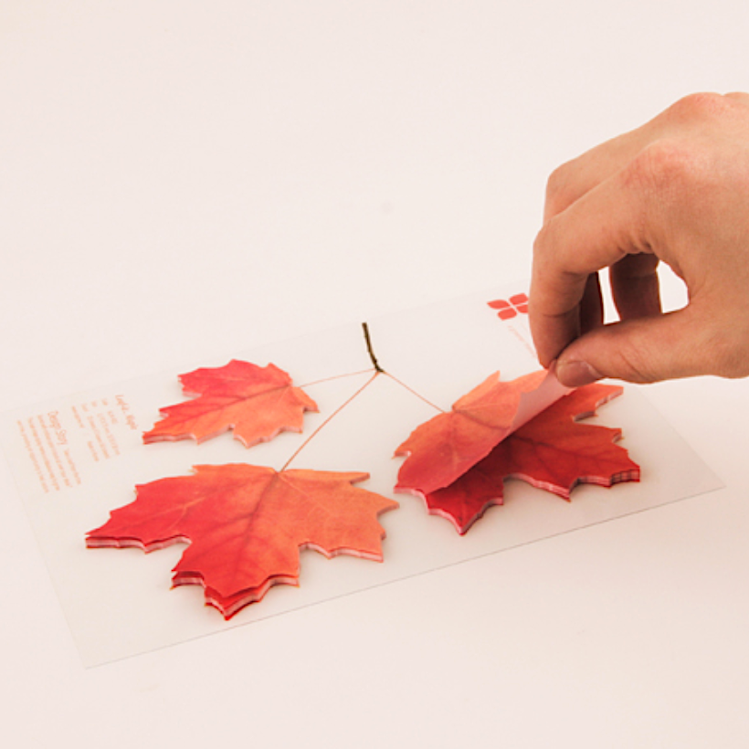 Appree Leaf Sticky Memo Notes - Red Maple