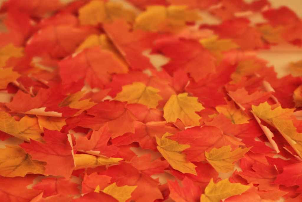 Appree Leaf Sticky Memo Notes - Yellow Maple