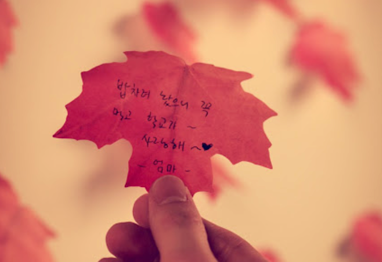 Appree Leaf Sticky Memo Notes - Yellow Maple