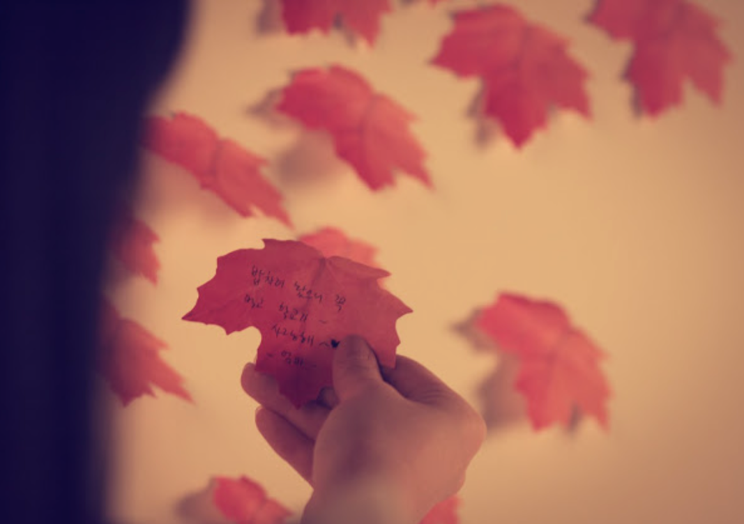 Appree Leaf Sticky Memo Notes - Yellow Maple