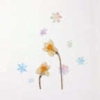 Appree Nature Stickers - Snow