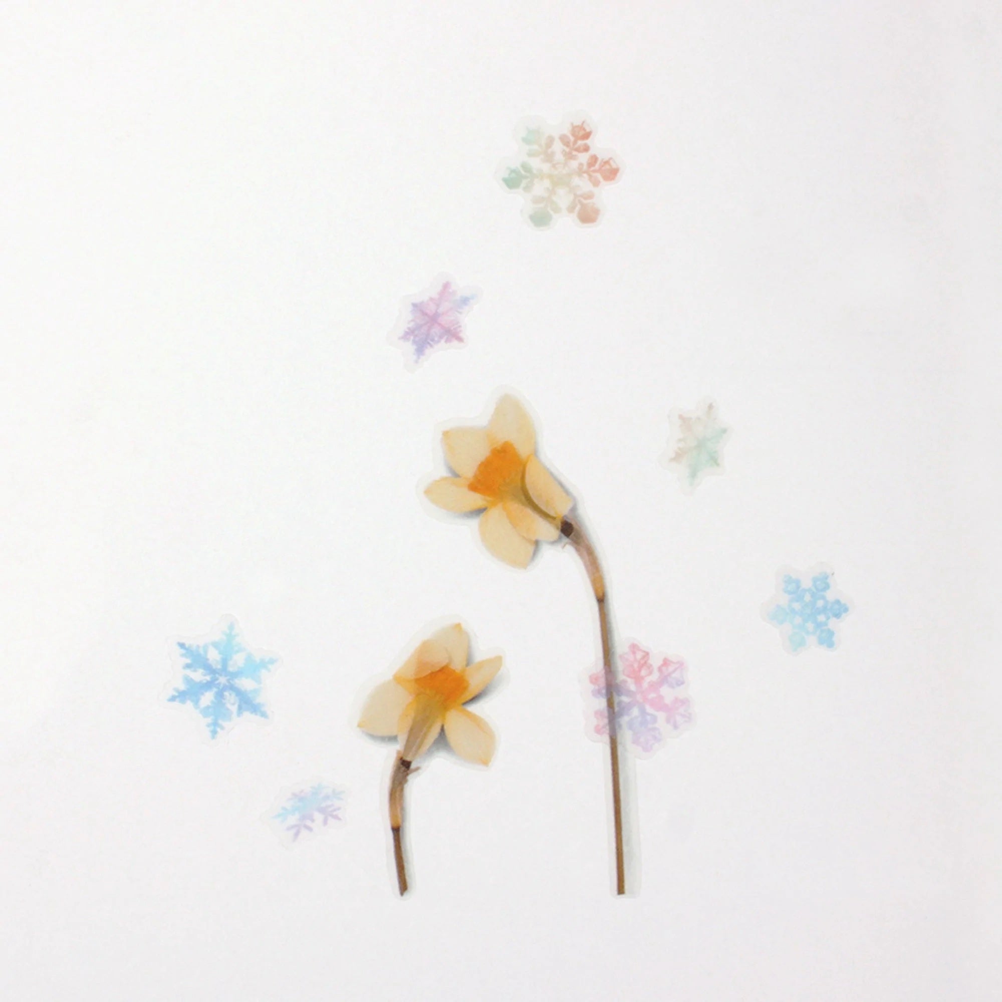 Appree Nature Stickers - Snow