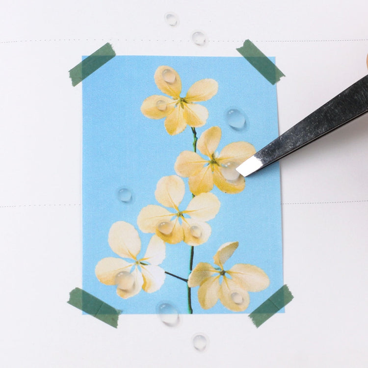 Appree Nature Stickers - Water Droplets