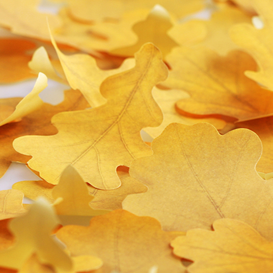 Appree Leaf Sticky Memo Notes - Yellow Oak