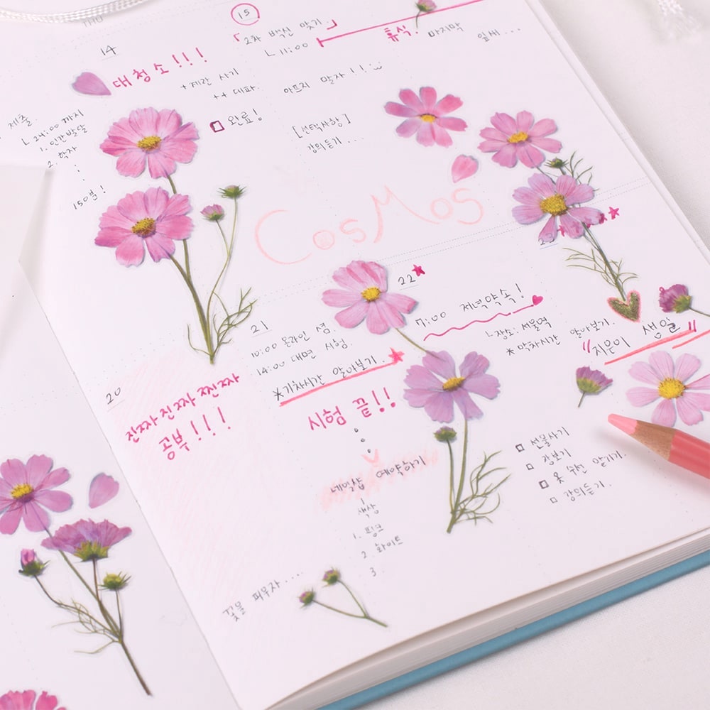 Appree Pressed Flower Stickers - Cosmos