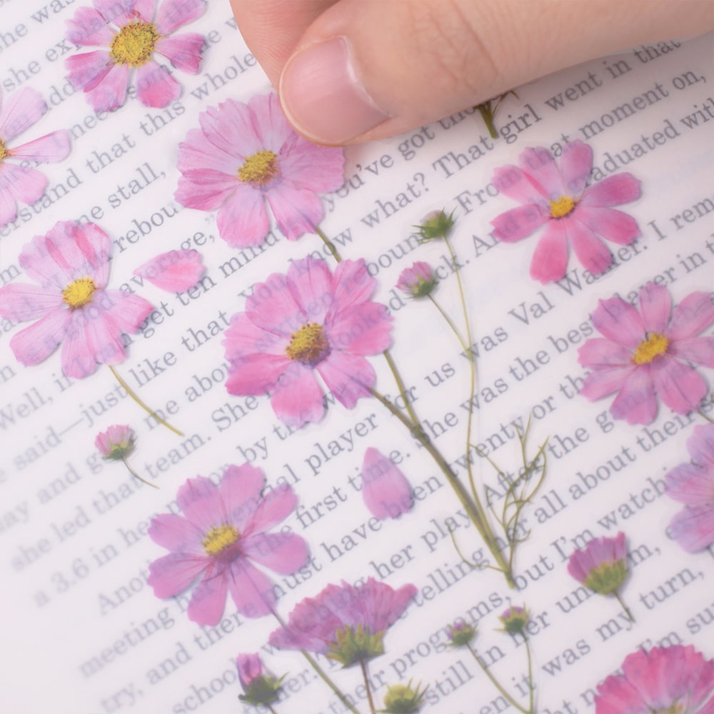 Appree Pressed Flower Stickers - Cosmos