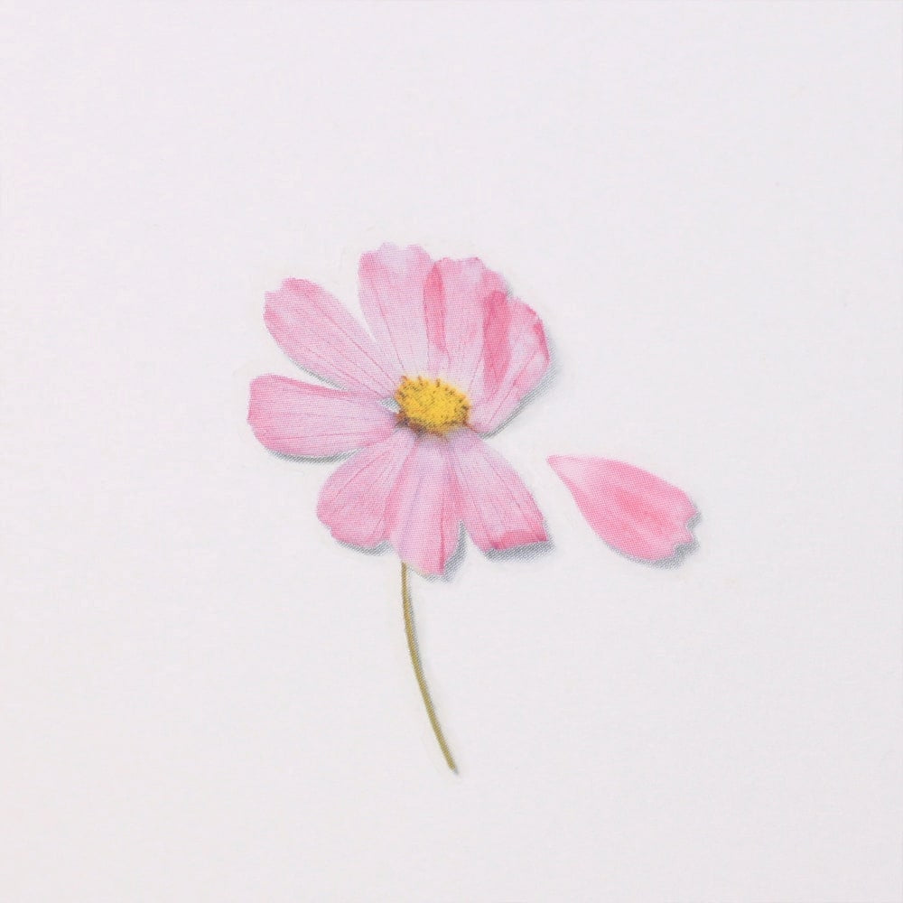 Appree Pressed Flower Stickers - Cosmos