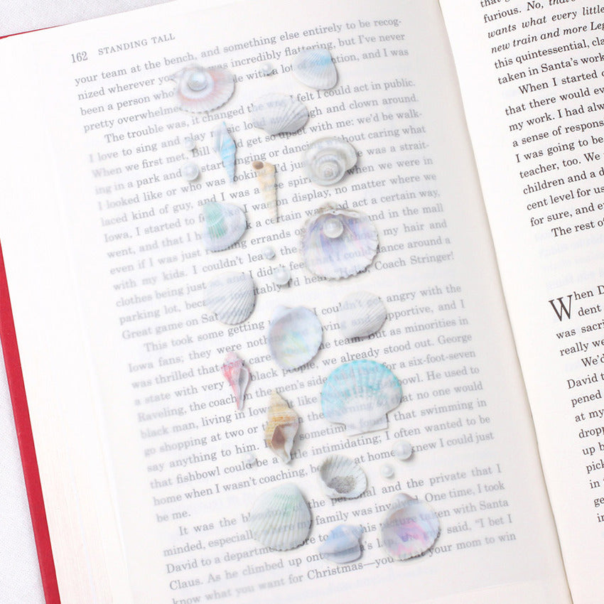 Appree Nature Clear Stickers - Seashell