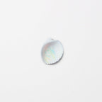 Appree Nature Clear Stickers - Seashell