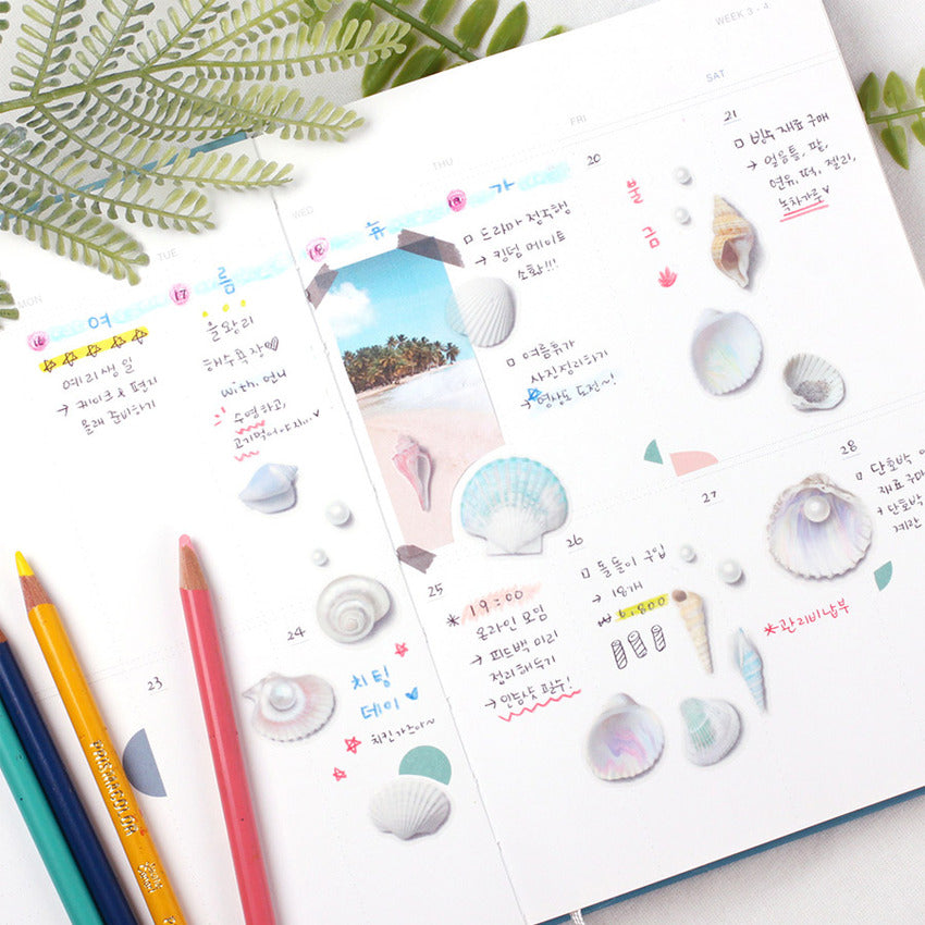 Appree Nature Clear Stickers - Seashell