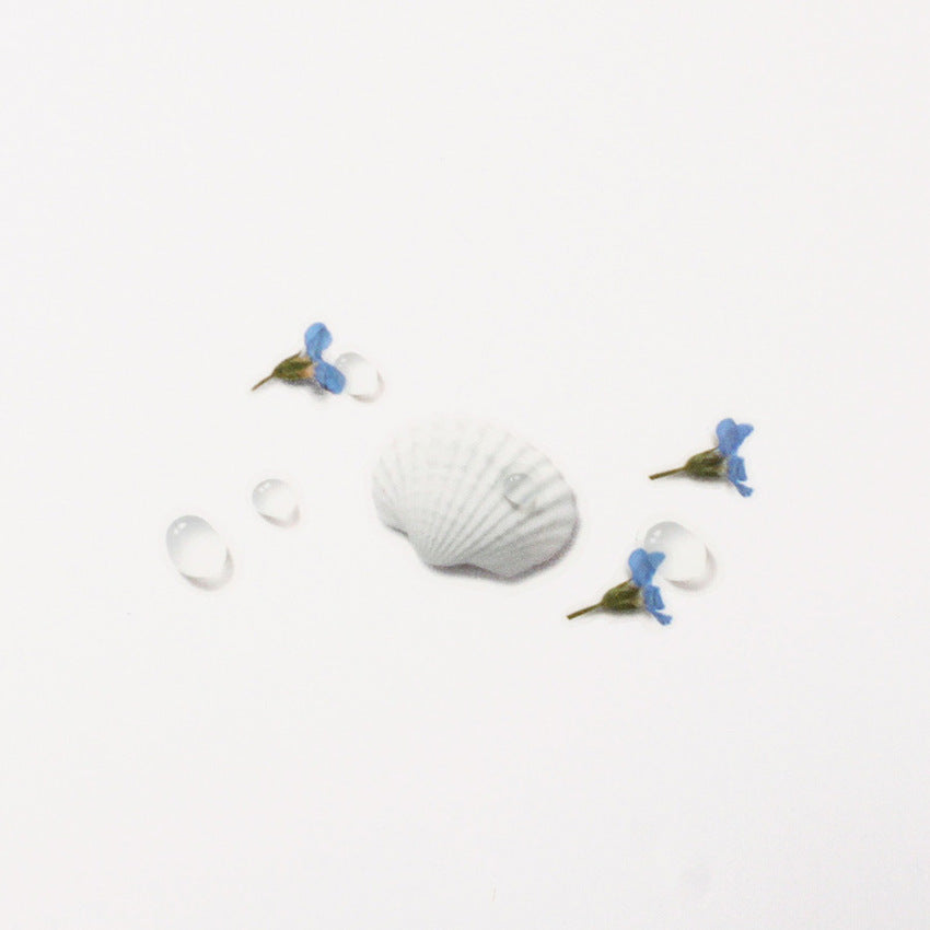 Appree Nature Clear Stickers - Seashell