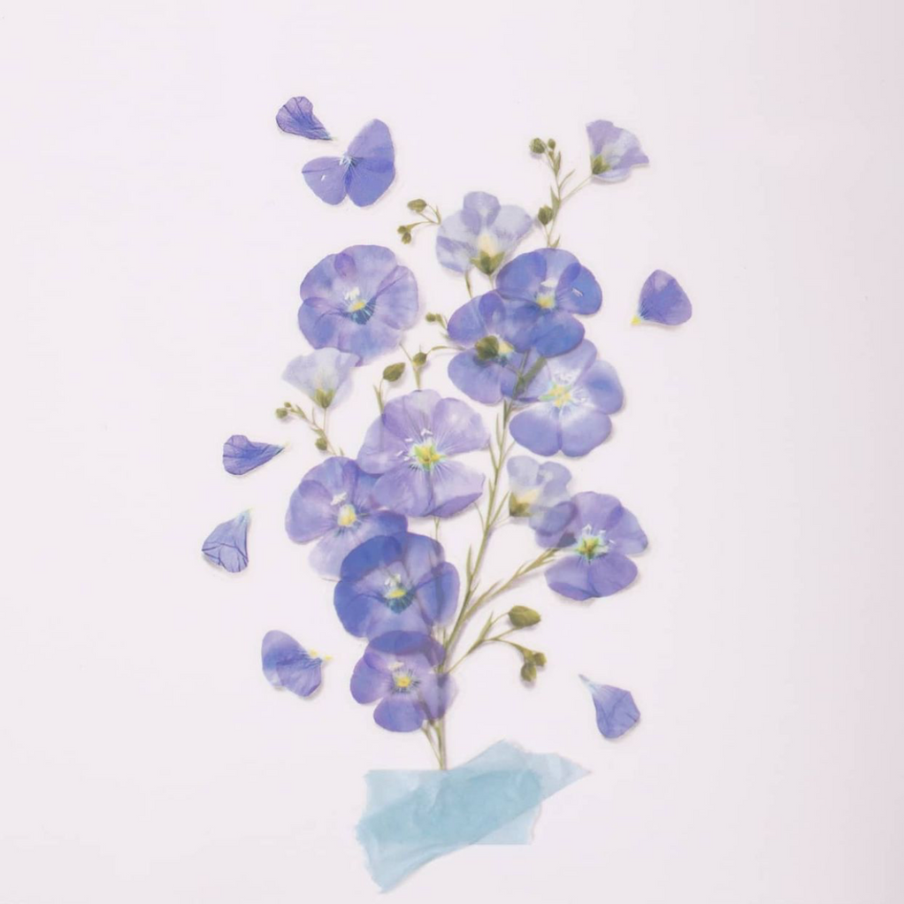 Appree Pressed Flower Stickers - Flax