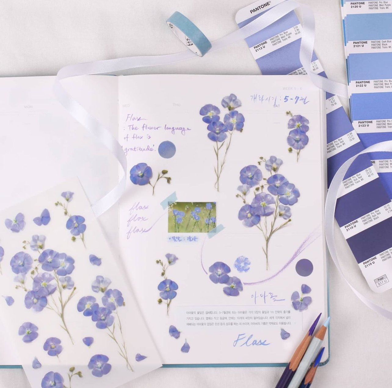Appree Pressed Flower Stickers - Flax