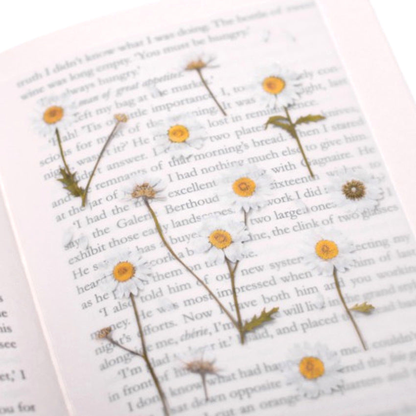 Appree Pressed Flower Stickers - Daisy