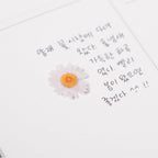 Appree Pressed Flower Stickers - Daisy
