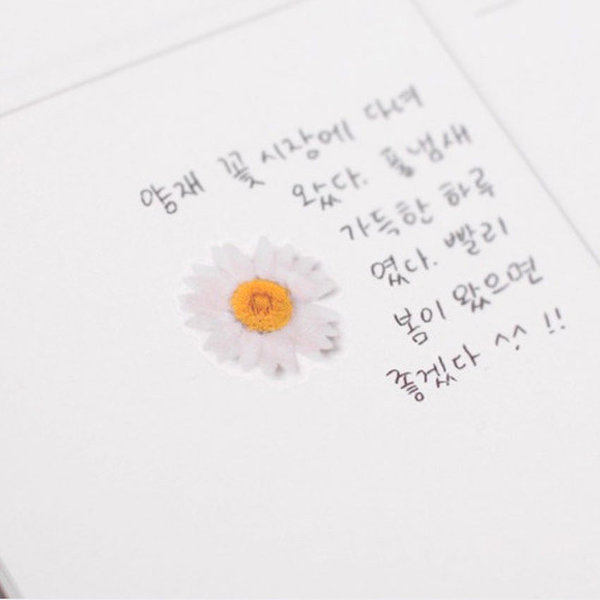 Appree Pressed Flower Stickers - Daisy