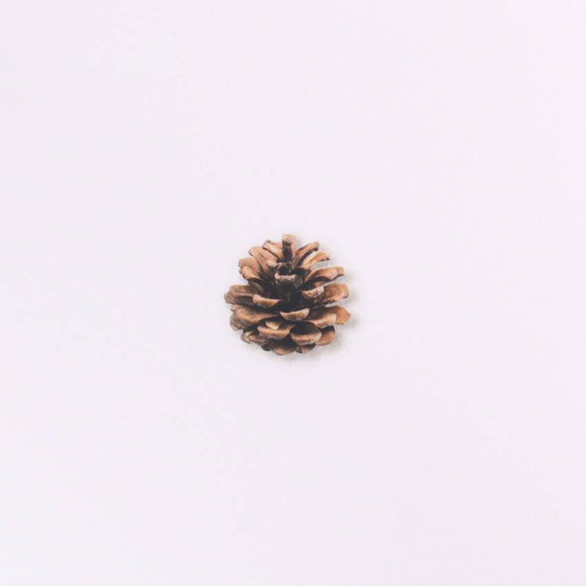 Appree Nature Stickers - Pine Road