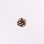 Appree Nature Stickers - Pine Road