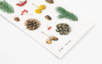 Appree Nature Stickers - Pine Road