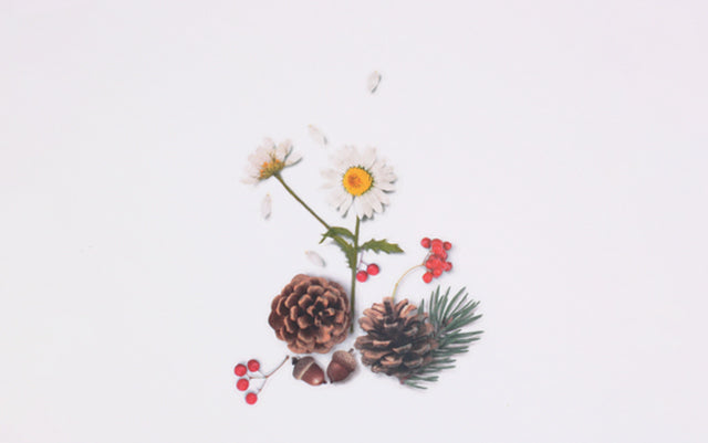 Appree Nature Stickers - Pine Road