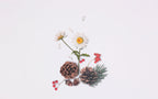 Appree Nature Stickers - Pine Road