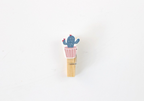 Cactus Wooden Pegs