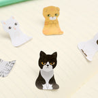 Kitty In A Box Sticky Notes