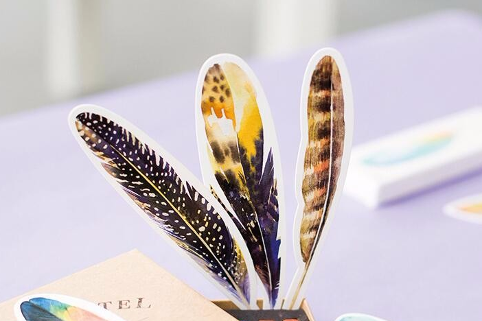 Colorful Feather Bookmarks - Set of 30