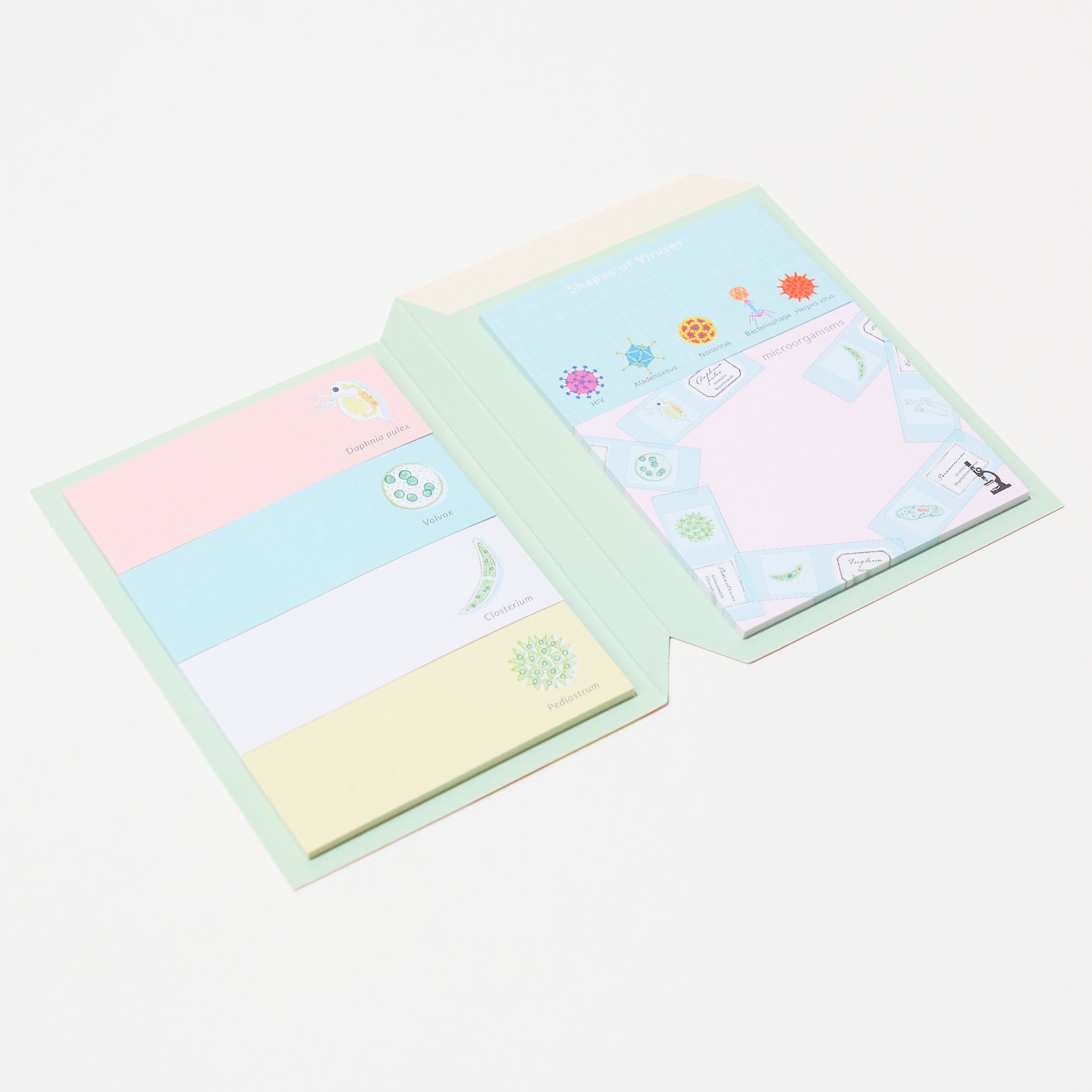 STUDY HOLIC Sticky Note Book / GreenFlash