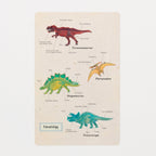 STUDY HOLIC Clear Bookmark / GreenFlash