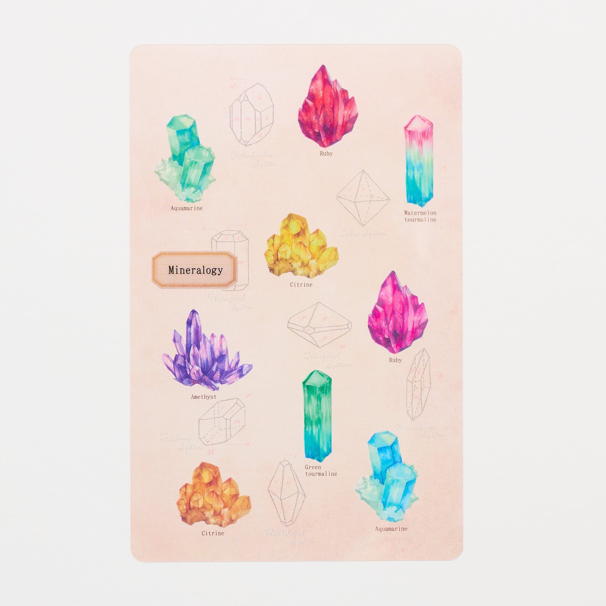 Mineralogy STUDY HOLIC Bundle / GreenFlash