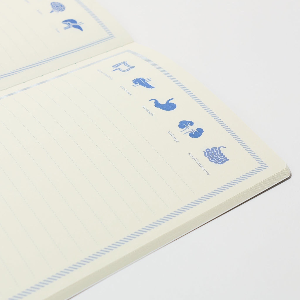 STUDY HOLIC A5 Notebook / GreenFlash
