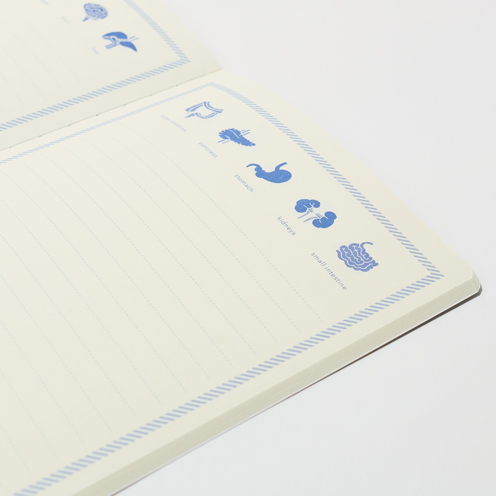 STUDY HOLIC A5 Notebook / GreenFlash