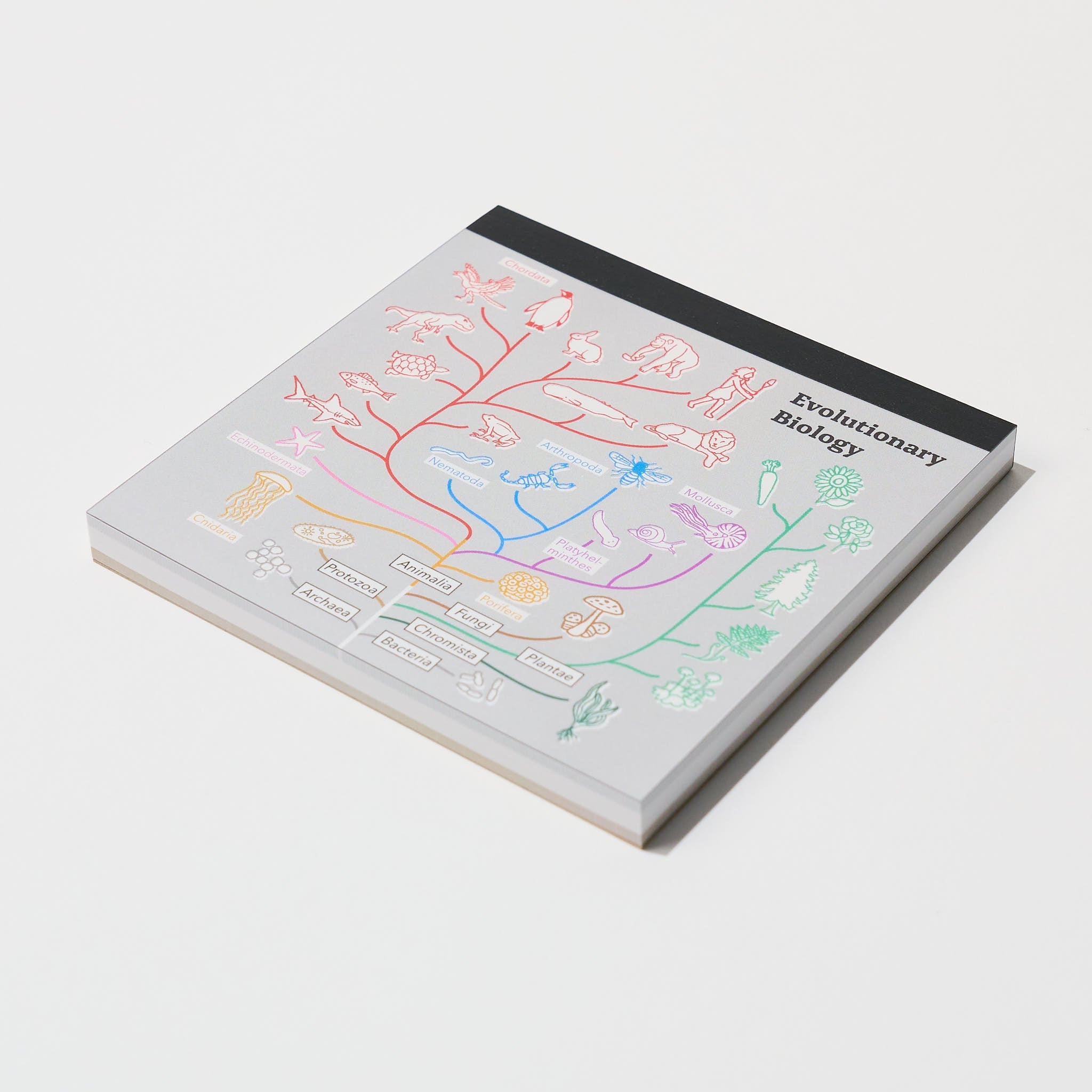 STUDY HOLIC Memo Pad Square / GreenFlash