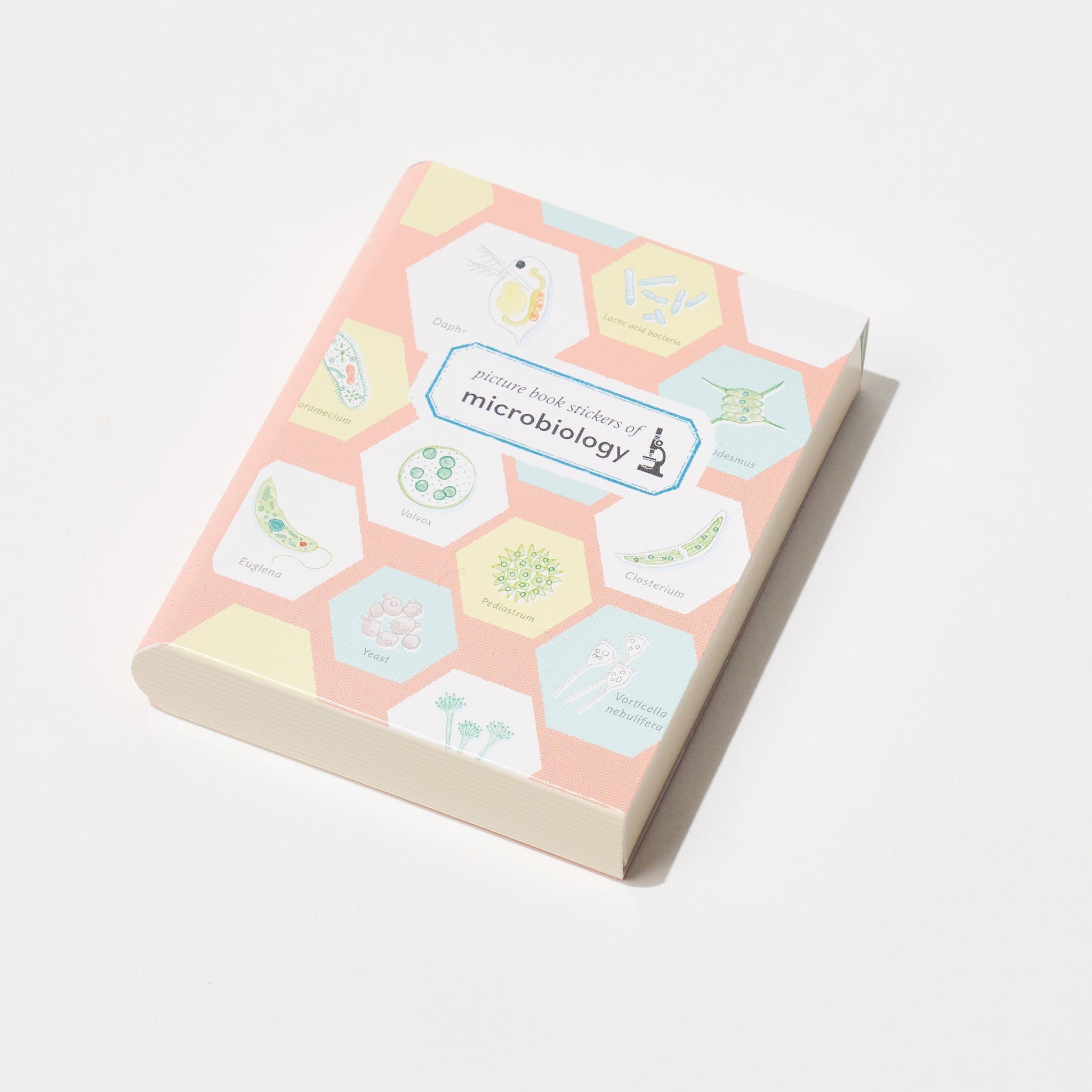 STUDY HOLIC Flake Stickers with Encyclopedia Case / GreenFlash