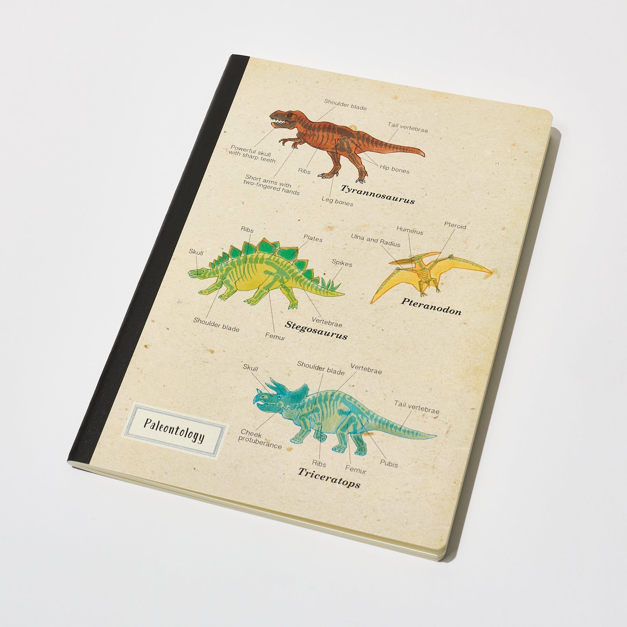 STUDY HOLIC A5 Notebook / GreenFlash