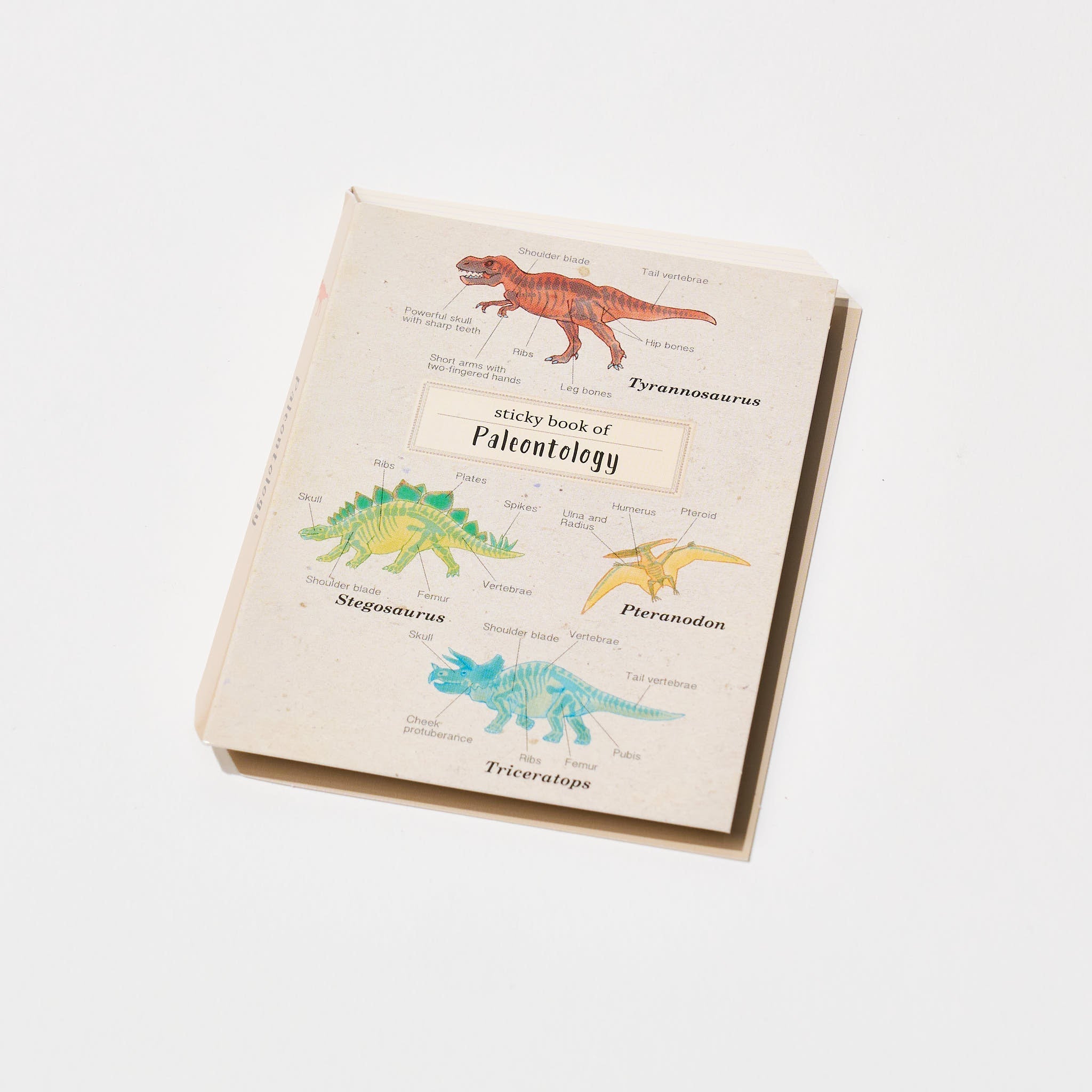STUDY HOLIC Sticky Note Book / GreenFlash
