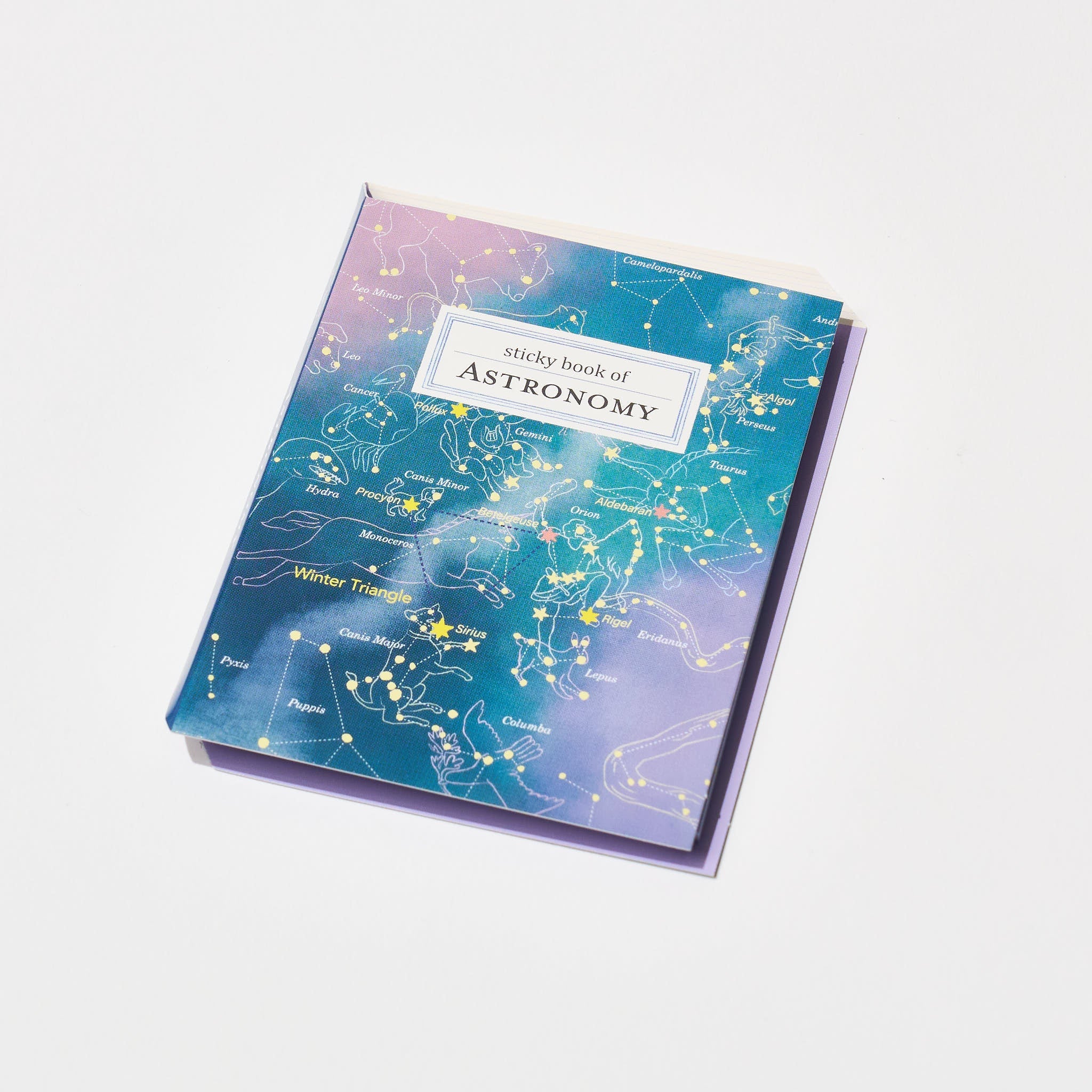 STUDY HOLIC Sticky Note Book / GreenFlash